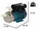 Tellarini ALM 25 MS - Electric Stainless Steel Transfer Pump - NYLON Straight + Curved Fittings