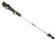 Ribimex PRBAT20/ELAG - Battery-powered Pruner on Telescopic Pole - 20V/2Ah