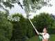 Ribimex PRBAT20/ELAGSB - Battery-powered Pruner on Telescopic Pole - WITHOUT BATTERY AND CHARGER