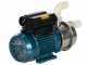 Tellarini ALT 30 - Electric Stainless Steel Oil Transfer Pump - NYLON Straight + Curved Fittings - Three-phase