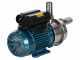 Tellarini ALT 30 - Electric Stainless Steel Oil Transfer Pump - STAINLESS STEEL Straight Fittings - Three-phase