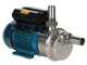 Tellarini ALM 30 - Electric Stainless Steel Oil Transfer Pump - STAINLESS STEEL Straight Fittings