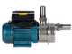 Tellarini ALM 30 - Electric Stainless Steel Oil Transfer Pump - STAINLESS STEEL Straight Fittings
