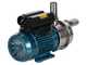 Tellarini ALM 30 - Electric Stainless Steel Oil Transfer Pump - STAINLESS STEEL Straight Fittings