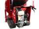 Ceccato Tritone Monster Cingo - Self-propelled tracked shredder - Honda GX390 engine