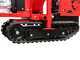 Ceccato Tritone Monster Cingo - Self-propelled tracked shredder - Honda GX390 engine