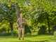 Gardena StarCut Pro S - Pruning shear on fixed pole 160 cm - &Oslash; 32 mm
