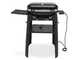 Weber Lumin with stand - Portable electric barbecue