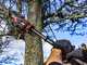 Skil 0514 CA - Battery-powered telescopic pruner - 20V/2.5Ah