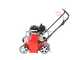 Blue Bird Taurus BS51 S - Petrol Scarifier with Mobile Blades
