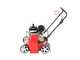 Blue Bird Taurus BS51 S - Petrol Scarifier with Mobile Blades