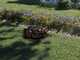 Worx Landroid Vision L1600 WR216E - Lawn Mower Robot - Without installation