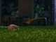 Stiga A 300 - Robot Lawn Mower - with E-Power 2 Ah Battery