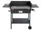 Cruccolini Festa Plus - Handmade Iron Wood and Charcoal Barbecue
