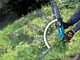 MAKITA DUA200Z - Battery pole pruner - 160-250 cm - 20cm bar - 2x18V 5Ah