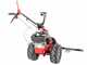 Eurosystems M310 - Two-blade Mower - Cutting Width 127 cm - Rato RV200 OHV