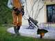 Worx WG173E - Cordless 3-in-1 Trimmer - 20V 4Ah
