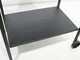 Cruccolini Fuocone Inox - Wood and charcoal barbecue