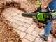 Greenworks GD60ABK4 - Battery-powered axial blower - 60V/4Ah