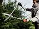 Bahco P51H-SL - Long-handled Hedge Shears