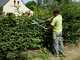 Bahco P51H-SL - Long-handled Hedge Shears
