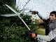 Bahco P51H-SL - Long-handled Hedge Shears