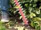 Skil 0440 CA - Cordless Hedge Trimmer - 55 cm Blade - 20V 2.5Ah