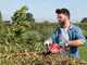Skil 0440 CA - Cordless Hedge Trimmer - 55 cm Blade - 20V 2.5Ah