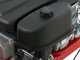 Eurosystems P55 - Petrol Brush Cutter - Falciatutto PRO V2 - Loncin 196 cc