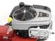 Eurosystems P70 EVO - Petrol Wheeled Brush Cutter - B&amp;S 850E I/C