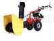 Eurosystems P70 EVO - Petrol Wheeled Brush Cutter - B&amp;S 850E I/C