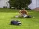 MOVA 600 - Lawn Mower Robot - Without installation