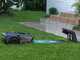 MOVA 1000 - Lawn Mower Robot - Without Installation