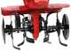 Eurosystems E3-EVO RM - Petrol Tiller - Rato RV170S-Pro Engine