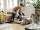 Karcher VC 4 Cordless myHome Car - Cordless Vacuum Cleaner - 21.6 V - 2.5 Ah