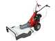 Eurosystems Minieffe - Petrol Brush Cutter - Blade - Rato RV200