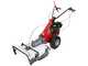 Eurosystems Minieffe - Petrol Brush Cutter - PRO Falciatutto - Rato RV200