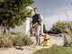 Karcher WD 3 V-19/4/20 - Wet and Dry Vacuum Cleaner - 19-litre Plastic Drum