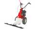 Eurosystems Minieffe RM - Multi-function Mower - Rato RV200