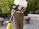 Karcher PCL 3-18 - Battery-powered surface cleaner - WITHOUT BATTERY AND CHARGER
