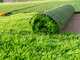 Marina Systems Picky E - Electric Sweeper 1700W