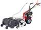 Eurosystems P55 EVO - Multi-function Two-blade Mower - B&amp;S 675 iSi