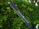Ryobi RY36HT60A-120 - Battery-powered hedge trimmer - 36V 2Ah - 60 cm blade