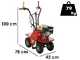 Benassi L300 - Self-propelled Petrol turf cutter - Honda GX160 - 5.5HP