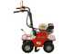 Benassi L300 - Self-propelled Petrol turf cutter - Honda GX160 - 5.5HP