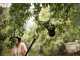 Fiskars fruit picker for pole tree pruners