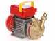 Rover BE-M 25 - Electric transfer pump in bronze - Single-phase - 230V