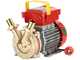 Rover BE-M 25 - Electric transfer pump in bronze - Single-phase - 230V