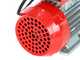 Rover BE-M 25 - Electric transfer pump in bronze - Single-phase - 230V