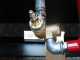 Airmec Agriplus 1500/1000 - Tractor Compressor - head 1500 - tank 1000 L